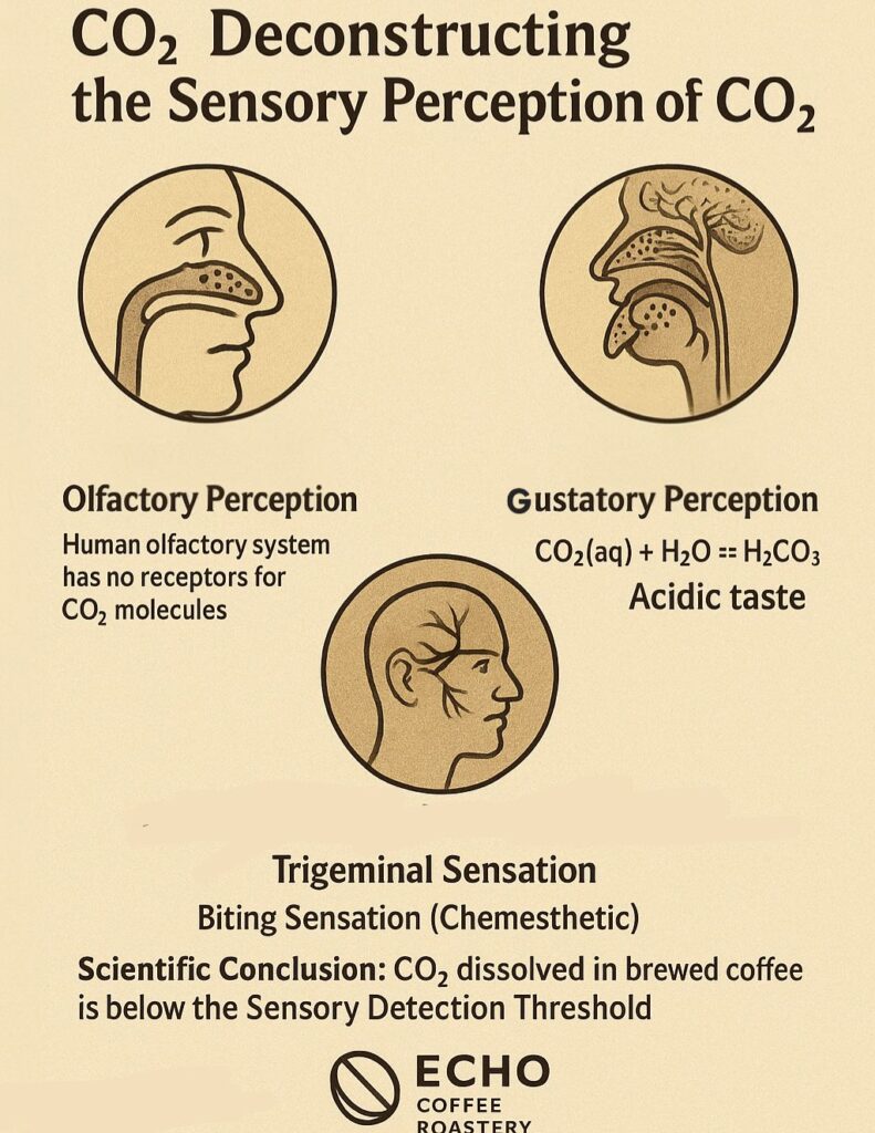 Deconstructing the Sensory Perception of CO₂